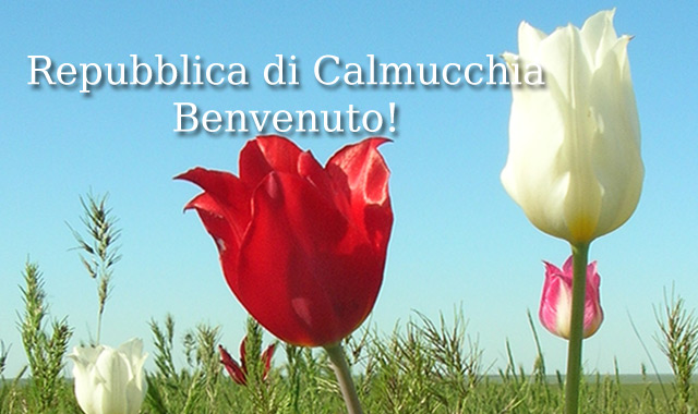 Calmucchia natura