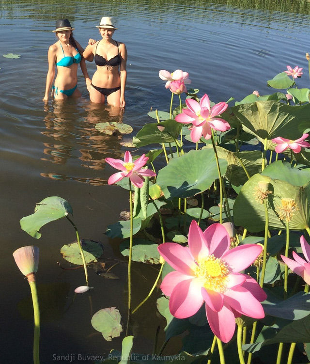 Lotus and girls